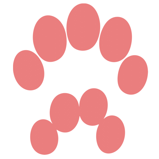 :paw_squirrel: